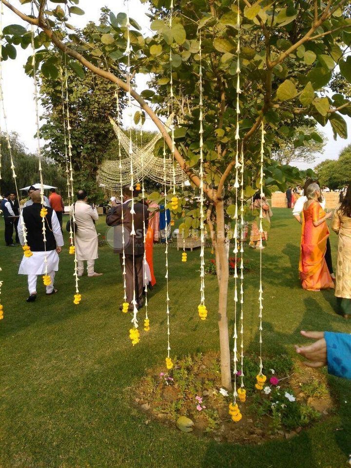 Shaadibaraati