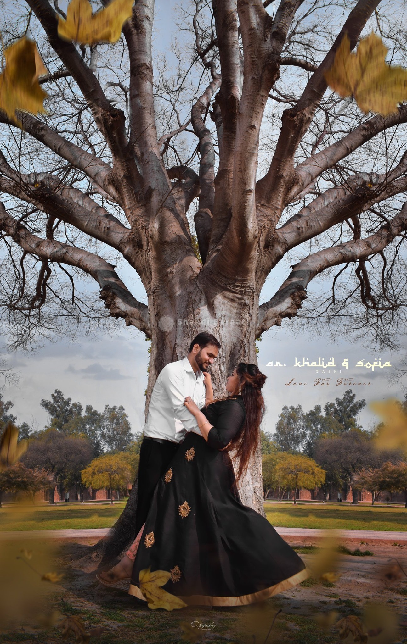 Shaadibaraati