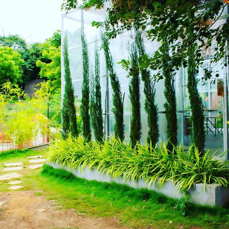 Shaadibaraati
