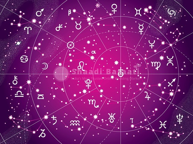 Vidushi Vastu And Astrologer